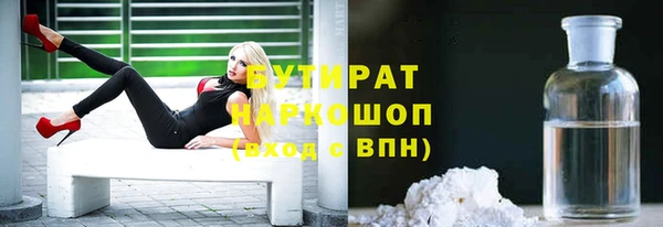 сатива Волоколамск